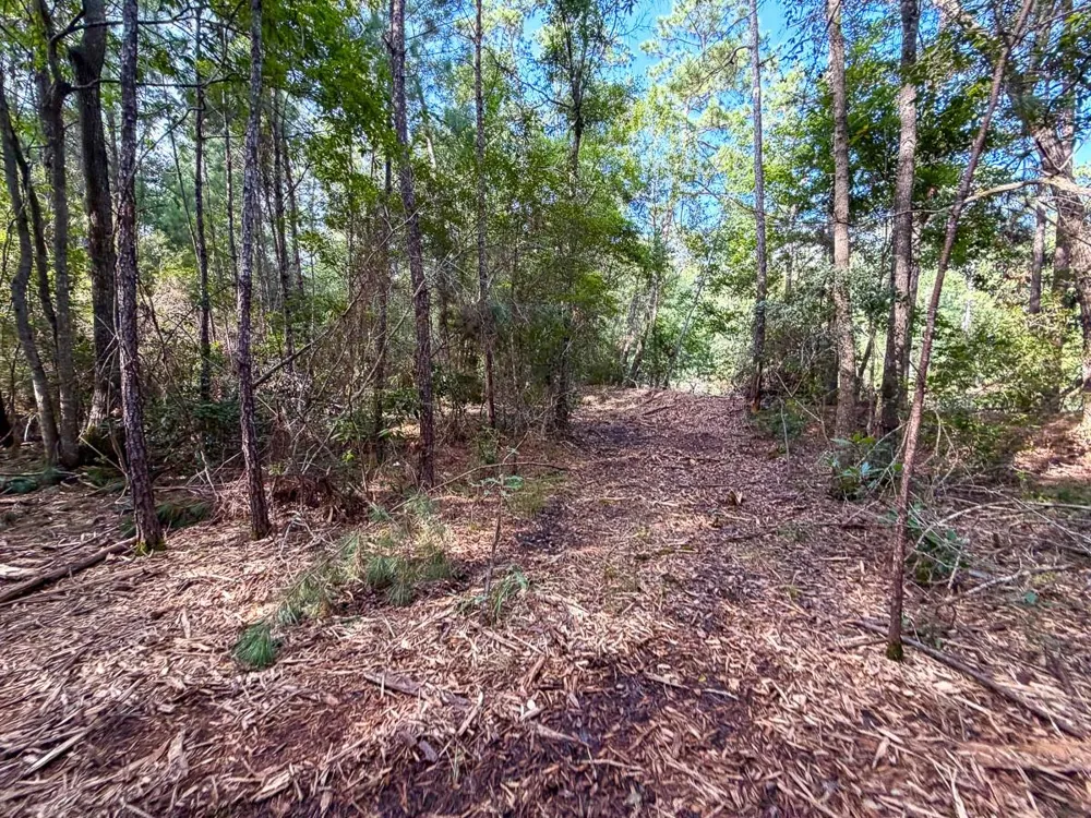 3 Fm 787 Saratoga, TX 77585