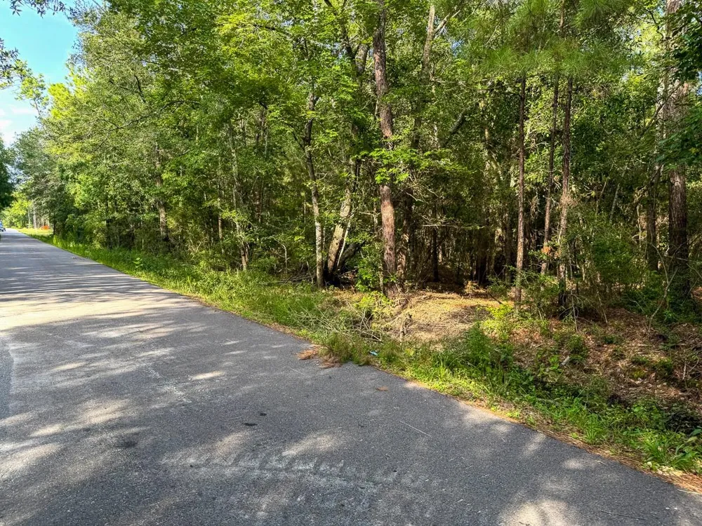 3 Fm 787 Saratoga, TX 77585