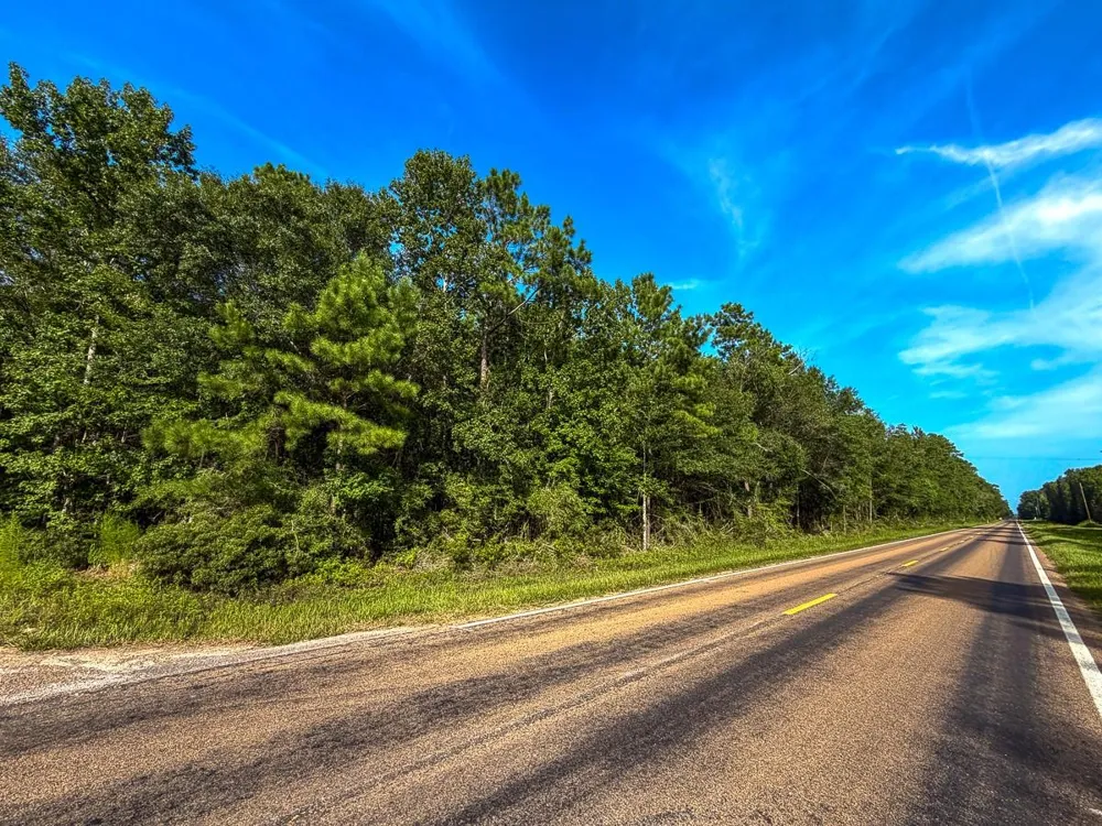 3 Fm 787 Saratoga, TX 77585