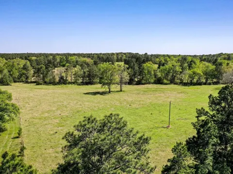 Black Jack Cemetery Road