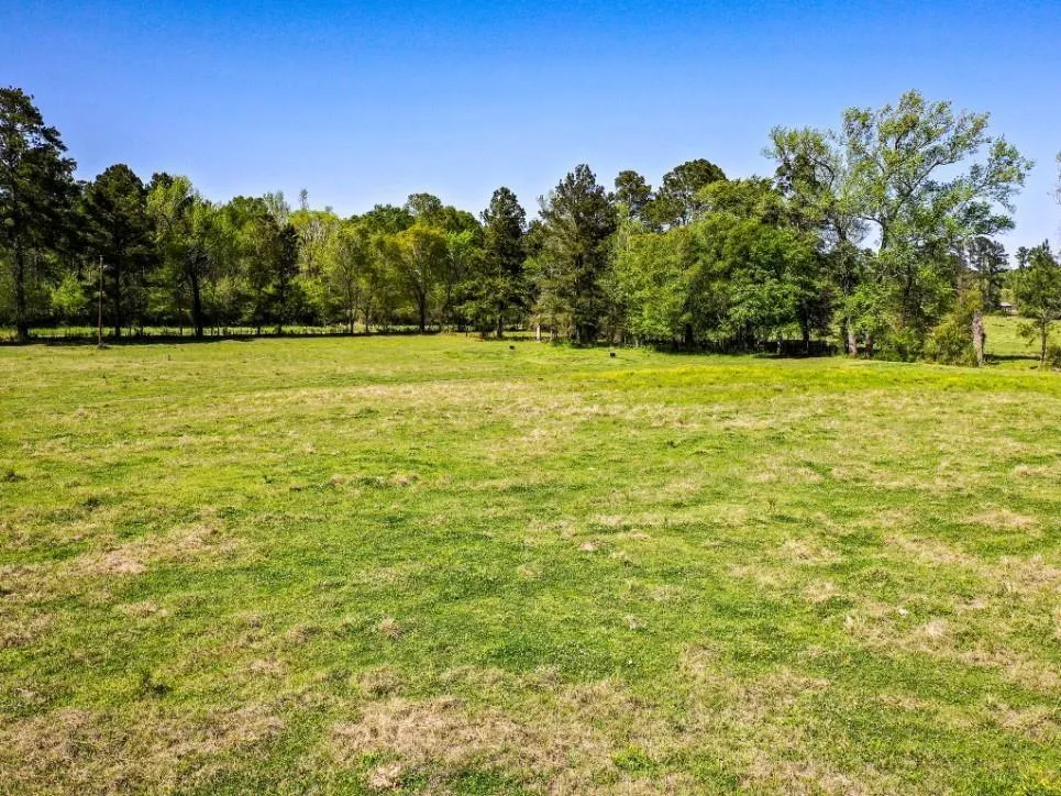 Black Jack Cemetery Road Huntsville, TX 77340