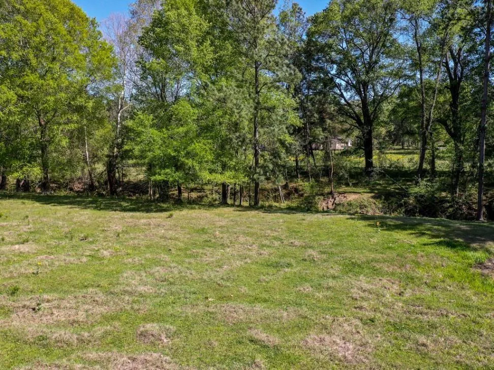 Black Jack Cemetery Road Huntsville, TX 77340