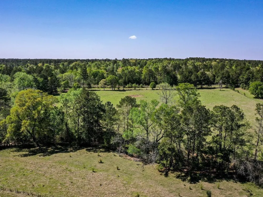 Black Jack Cemetery Road Huntsville, TX 77340