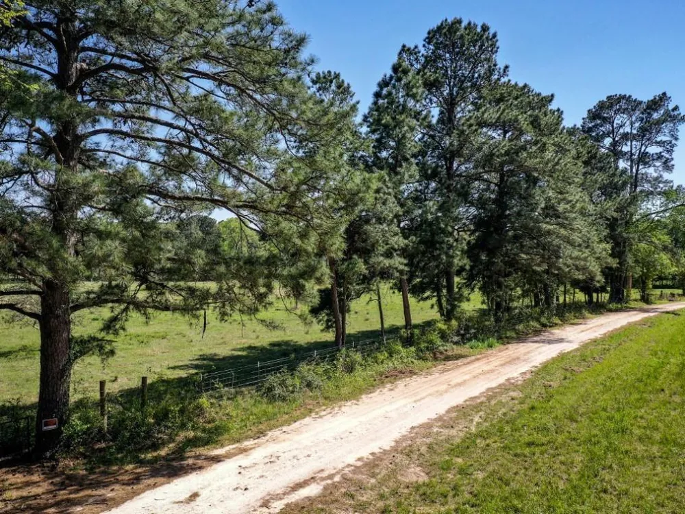 Black Jack Cemetery Road Huntsville, TX 77340