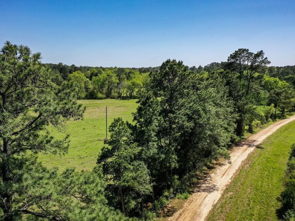 Black Jack Cemetery Road Huntsville, TX 77340
