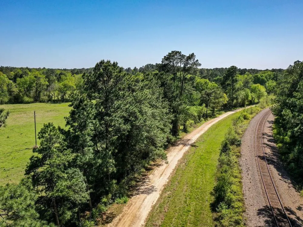 Black Jack Cemetery Road Huntsville, TX 77340