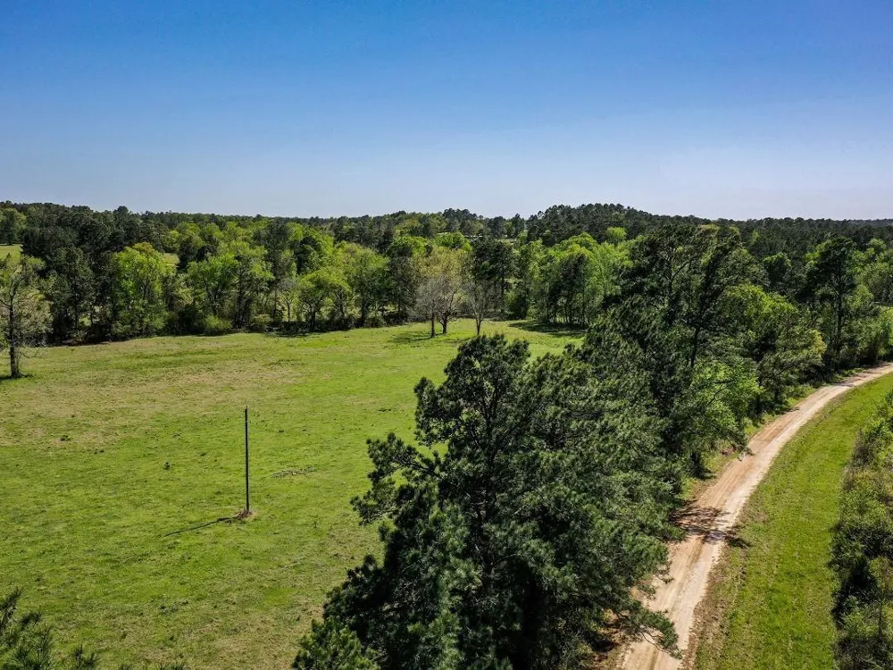 Black Jack Cemetery Road Huntsville, TX 77340