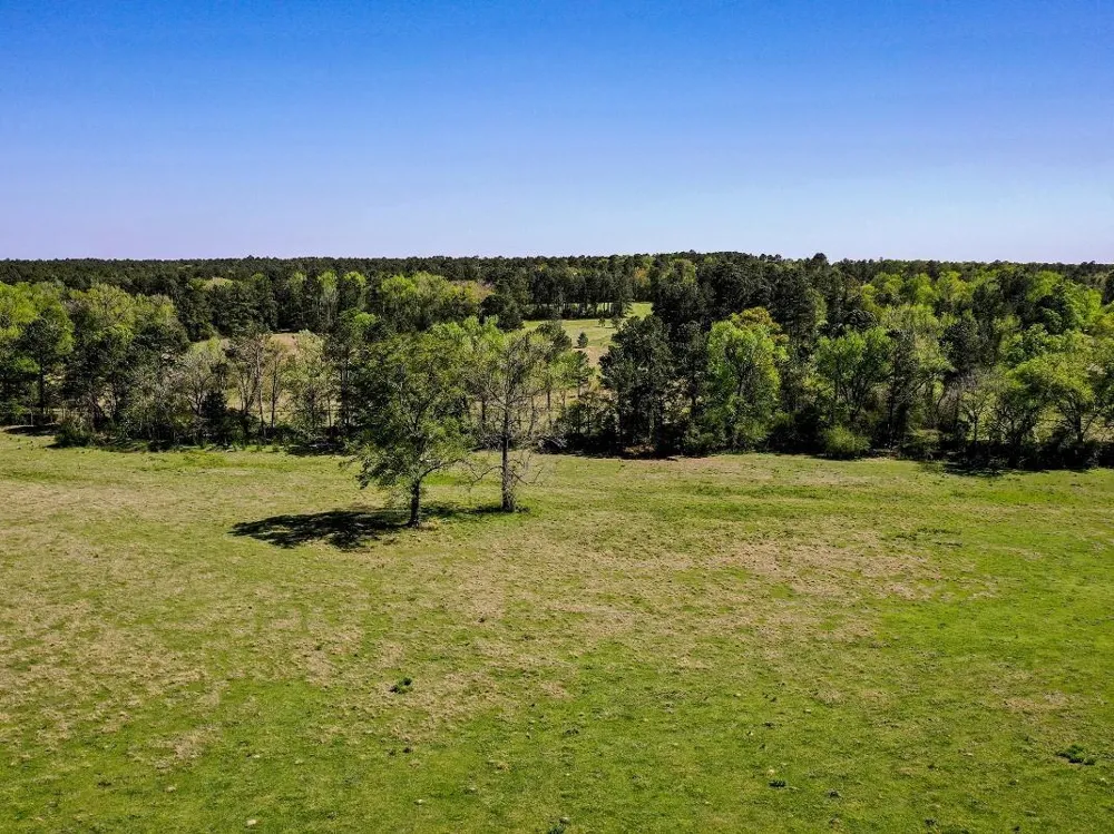 Black Jack Cemetery Road Huntsville, TX 77340