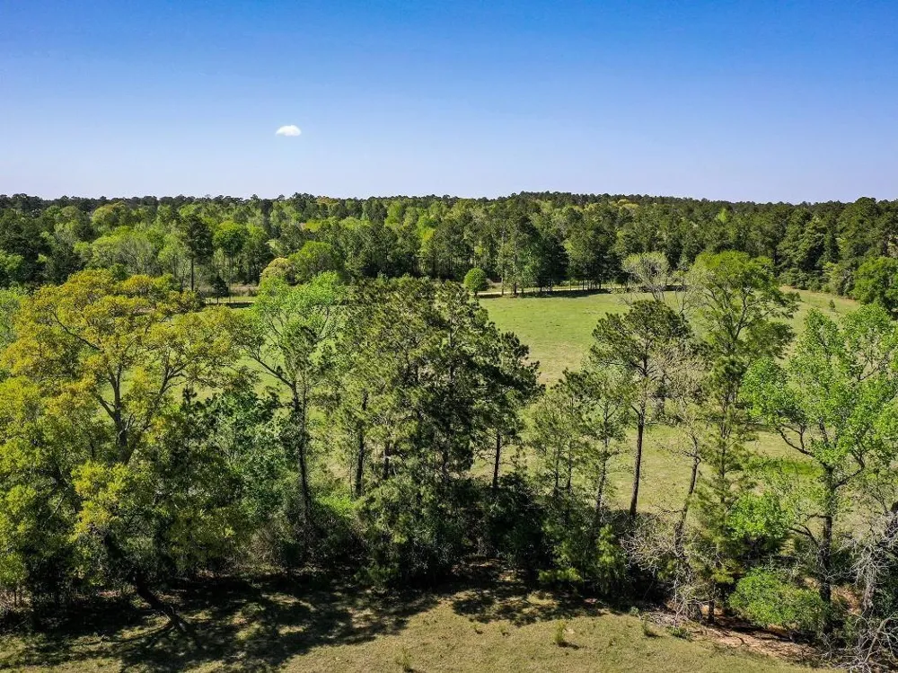 Black Jack Cemetery Road Huntsville, TX 77340