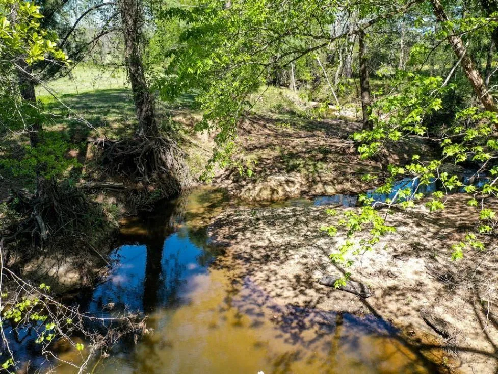 Black Jack Cemetery Road Huntsville, TX 77340