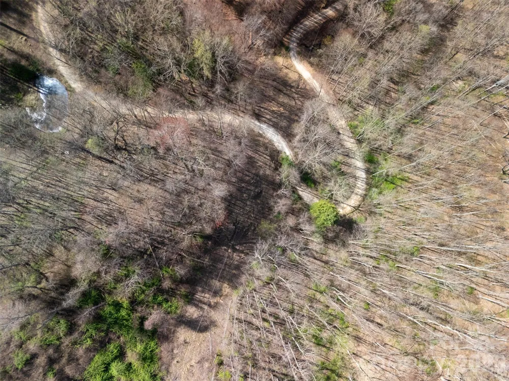 40 acres Charity Lane Burnsville, NC 28714