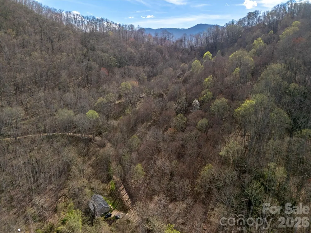 40 acres Charity Lane Burnsville, NC 28714
