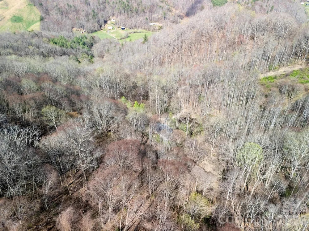 40 acres Charity Lane Burnsville, NC 28714