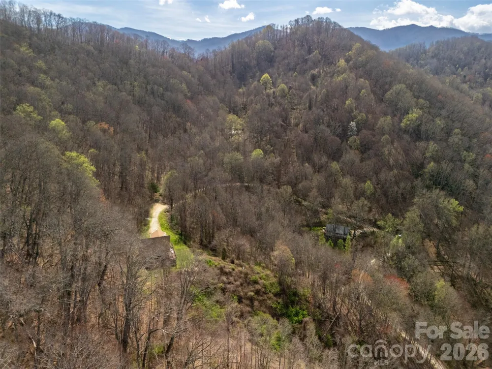 40 acres Charity Lane Burnsville, NC 28714