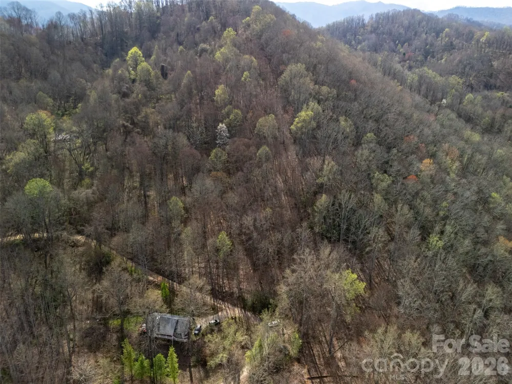40 acres Charity Lane Burnsville, NC 28714