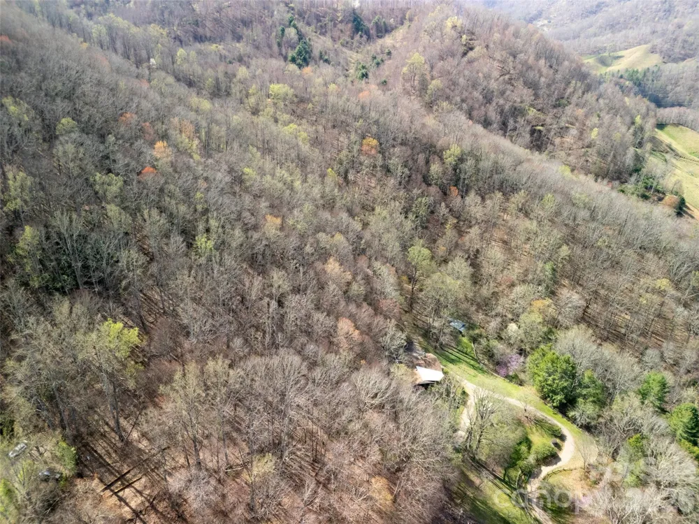 40 acres Charity Lane Burnsville, NC 28714