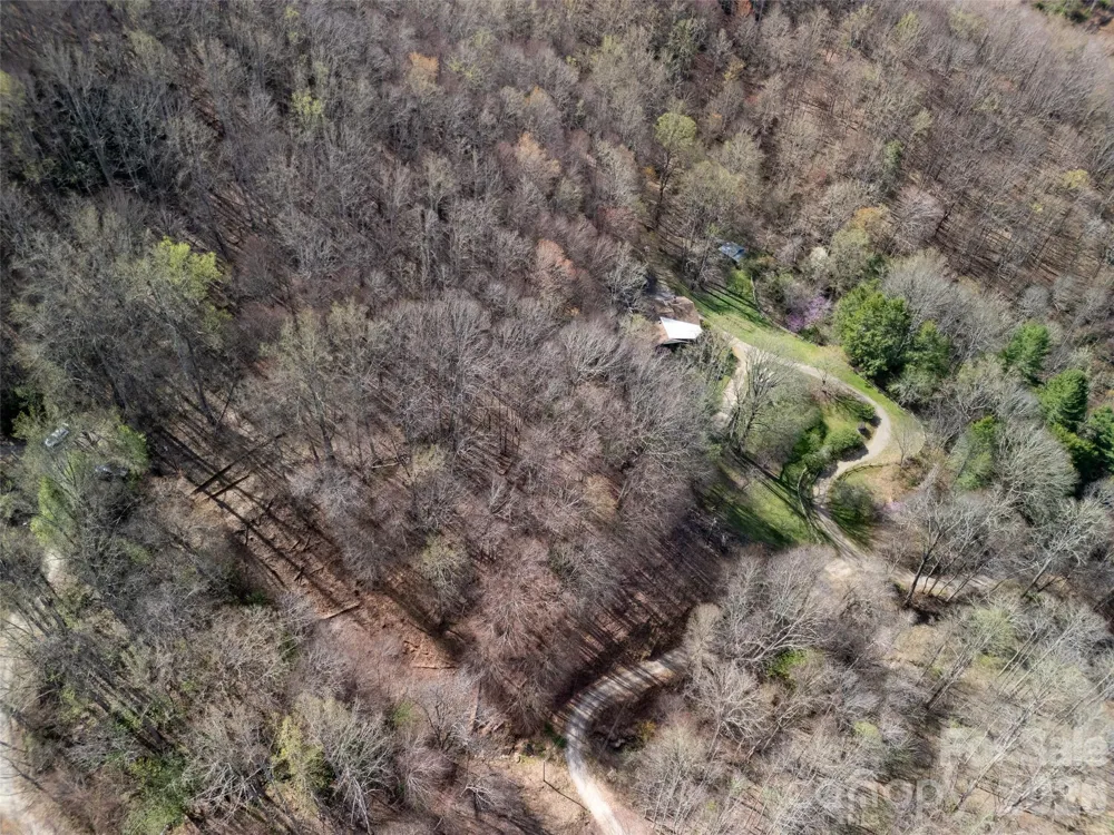 40 acres Charity Lane Burnsville, NC 28714