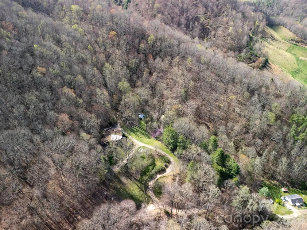 40 acres Charity Lane Burnsville, NC 28714