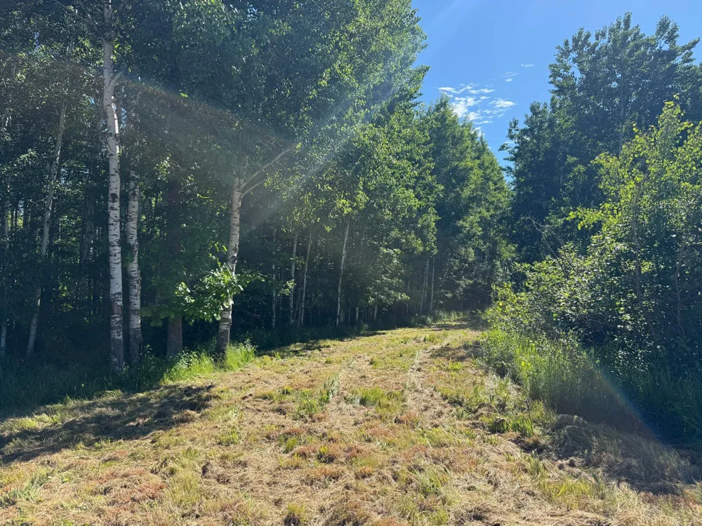 2359 County Road 8 Holyoke, MN 55749