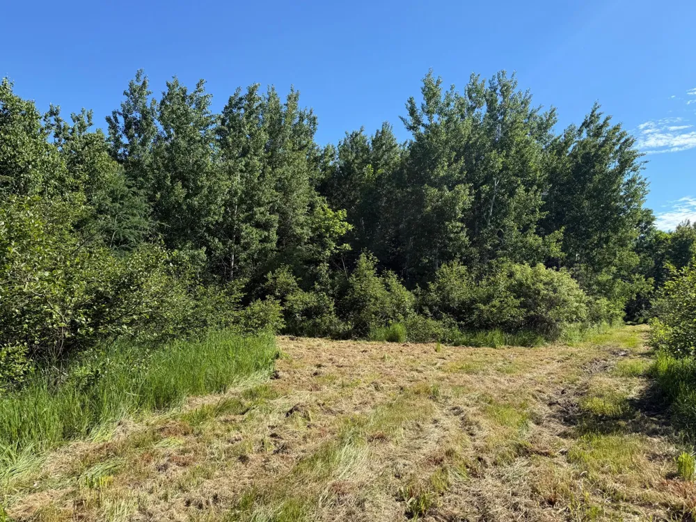 2359 County Road 8 Holyoke, MN 55749