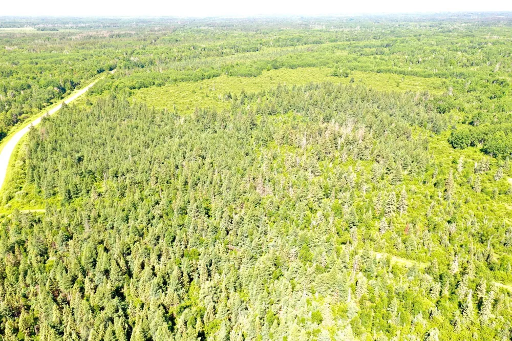 2359 County Road 8 Holyoke, MN 55749
