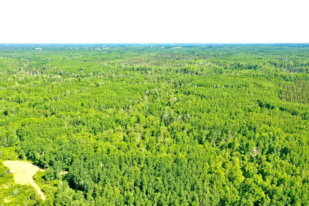 2359 County Road 8 Holyoke, MN 55749