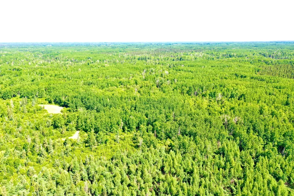 2359 County Road 8 Holyoke, MN 55749