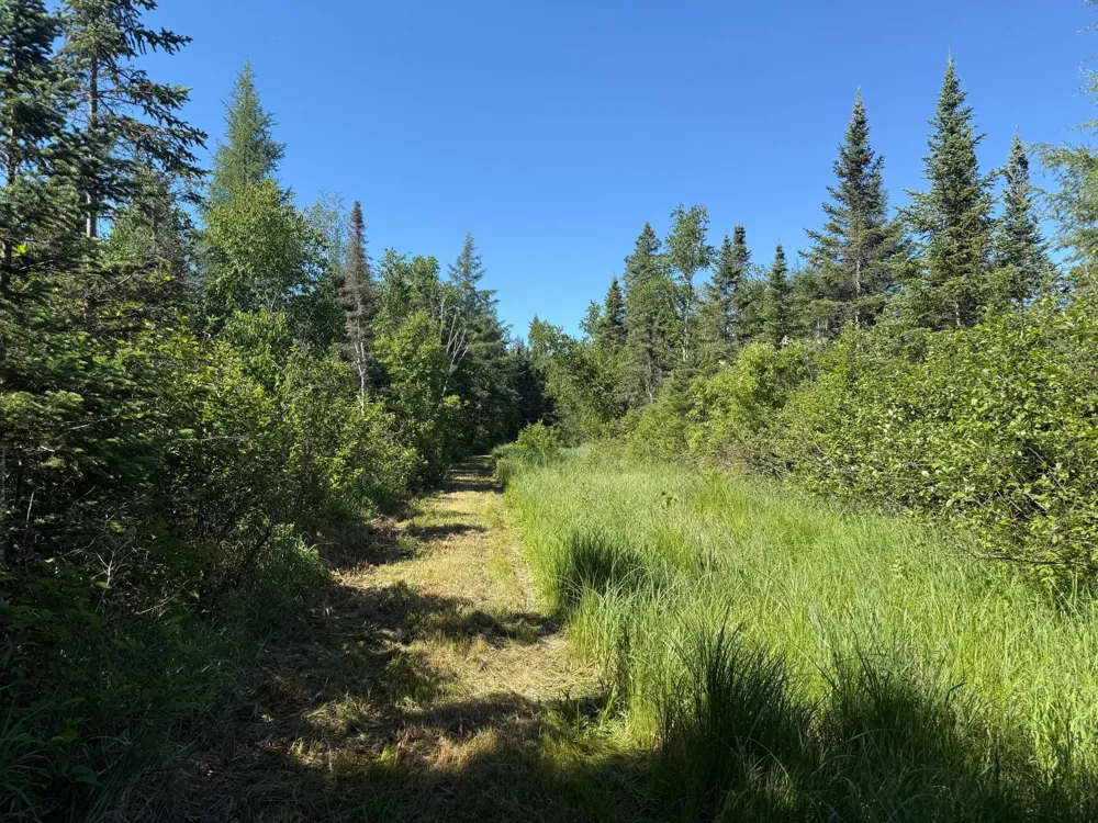 2359 County Road 8 Holyoke, MN 55749