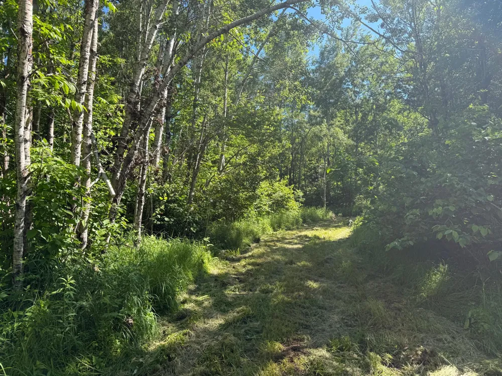2359 County Road 8 Holyoke, MN 55749