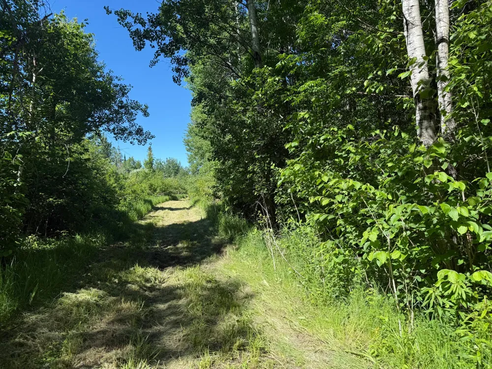 2359 County Road 8 Holyoke, MN 55749