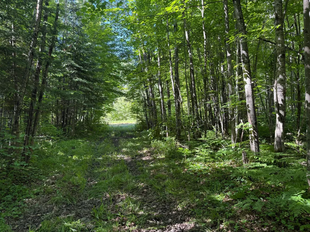 2359 County Road 8 Holyoke, MN 55749