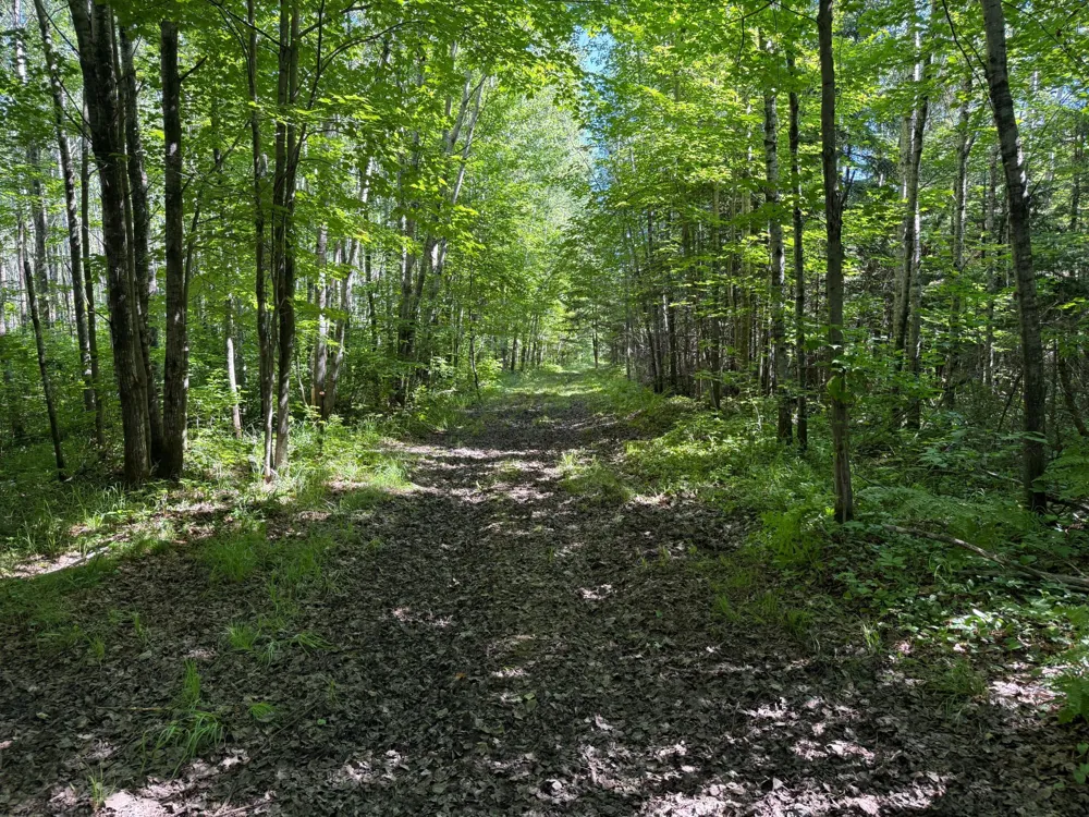 2359 County Road 8 Holyoke, MN 55749