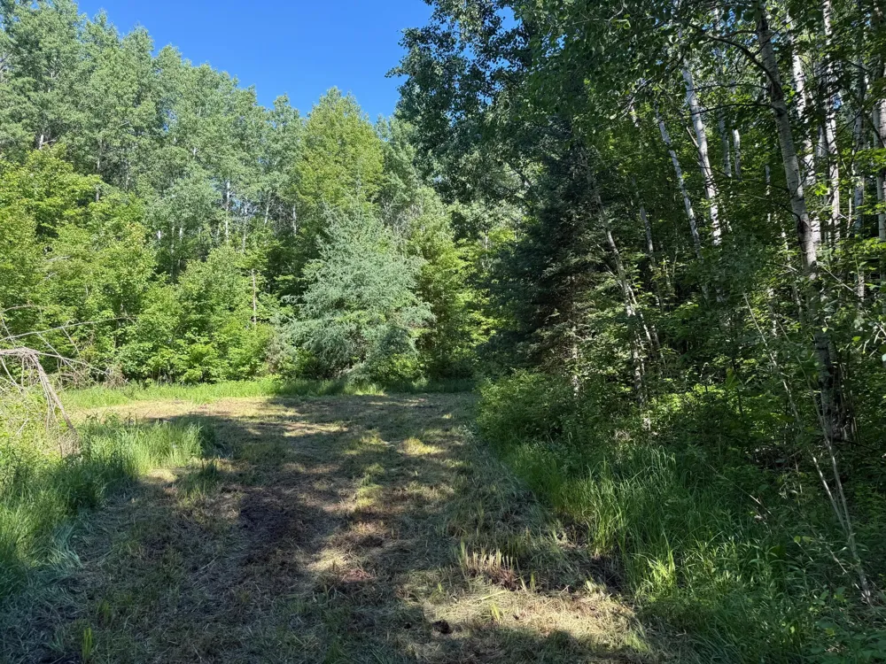 2359 County Road 8 Holyoke, MN 55749