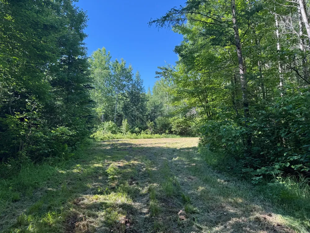 2359 County Road 8 Holyoke, MN 55749