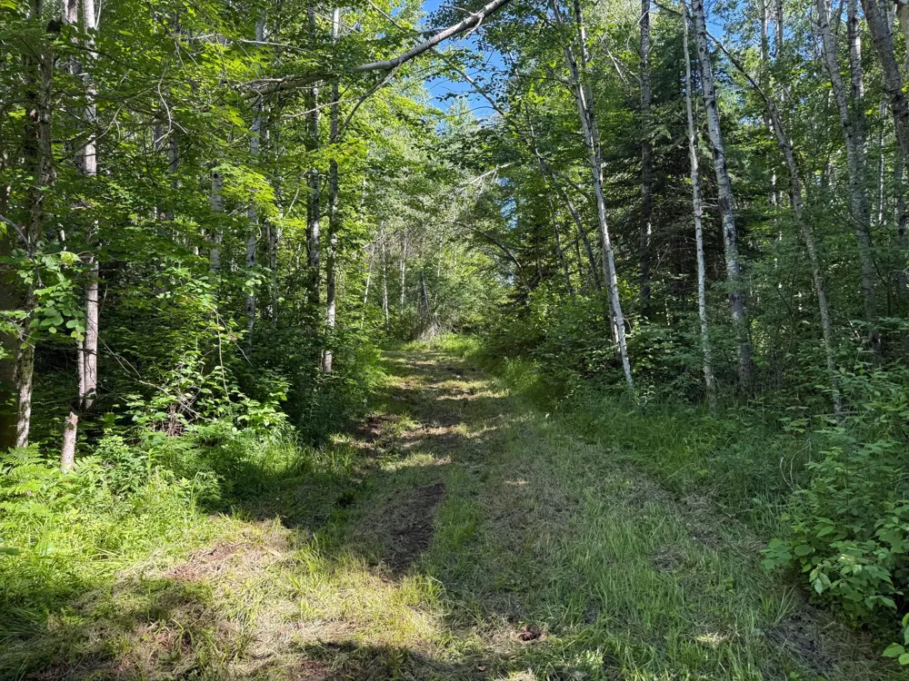 2359 County Road 8 Holyoke, MN 55749