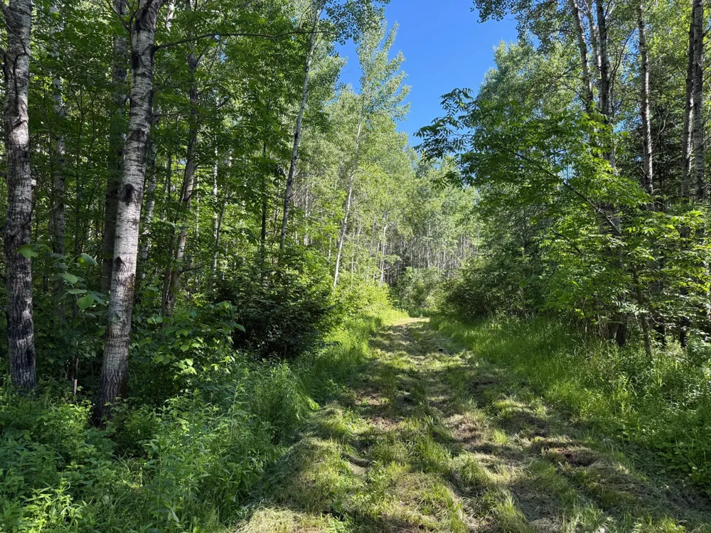 2359 County Road 8 Holyoke, MN 55749