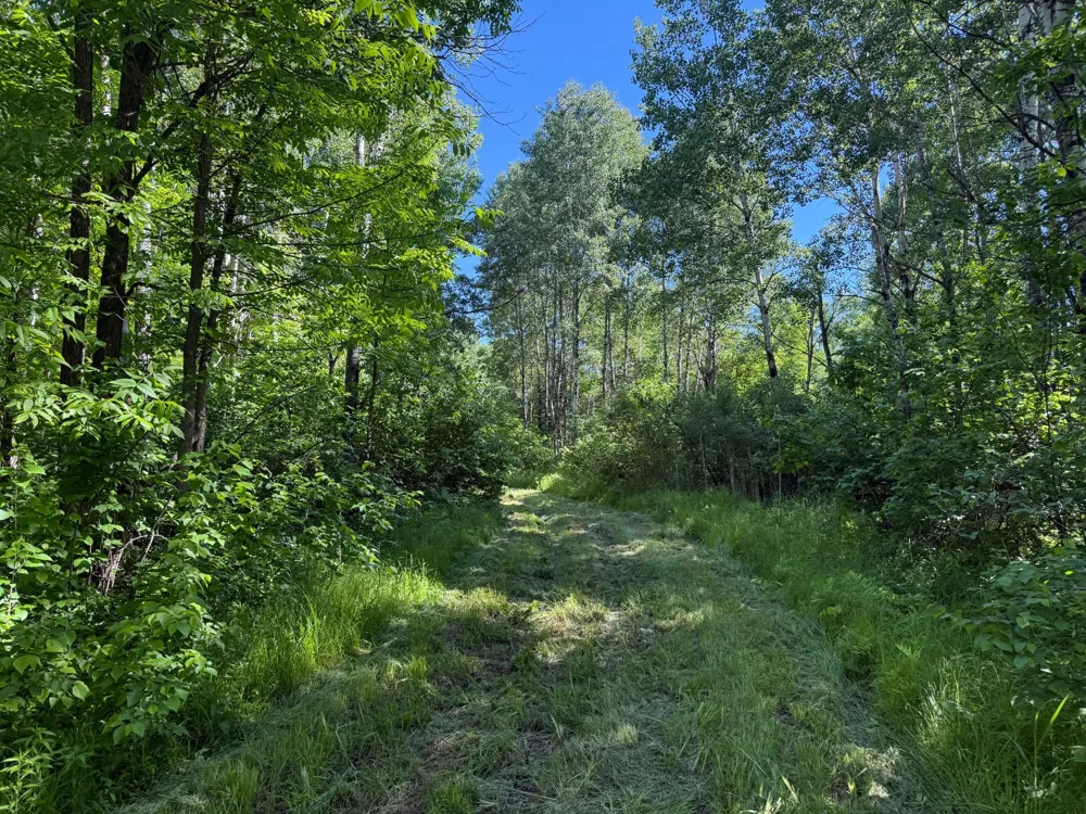 2359 County Road 8 Holyoke, MN 55749