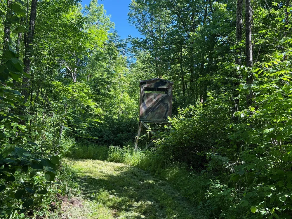 2359 County Road 8 Holyoke, MN 55749