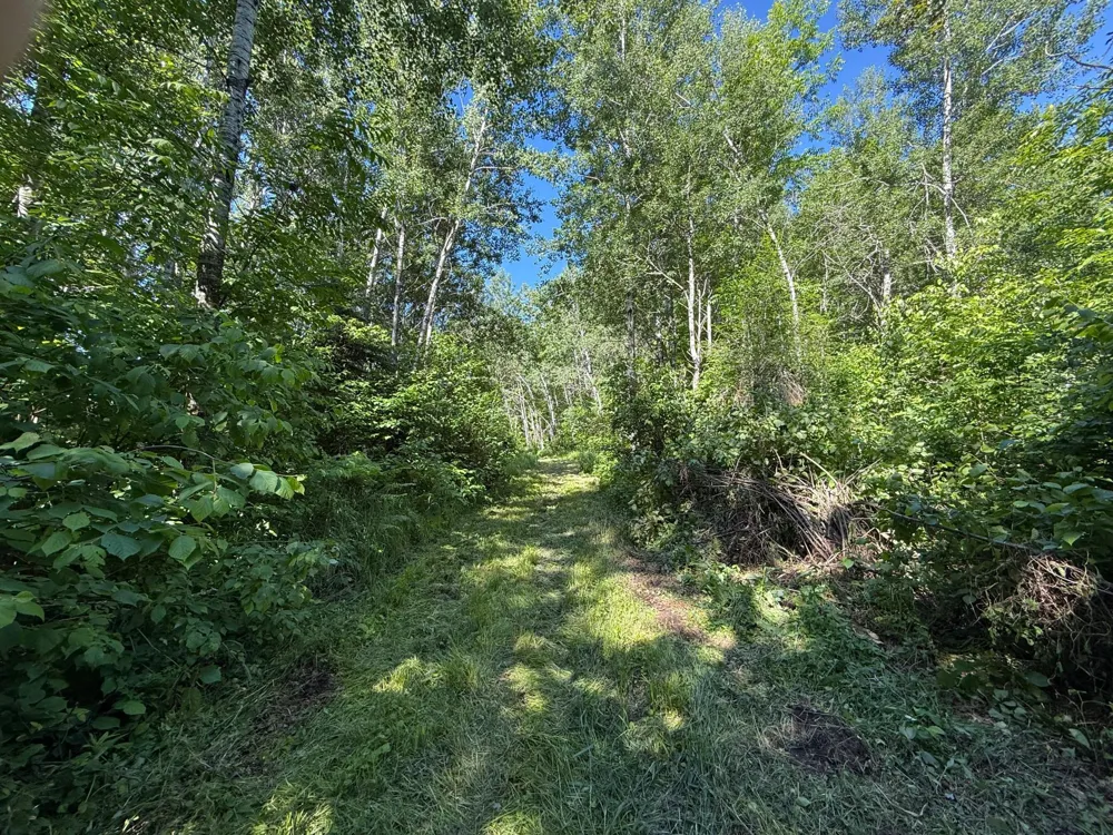 2359 County Road 8 Holyoke, MN 55749