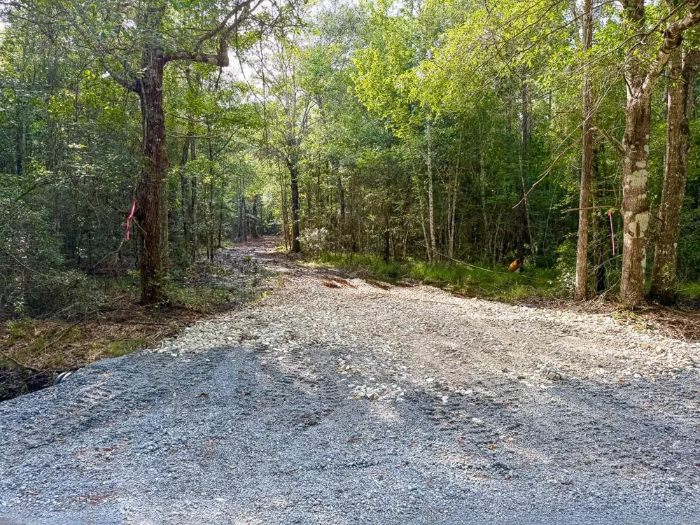 8 Fm 787 Saratoga, TX 77585