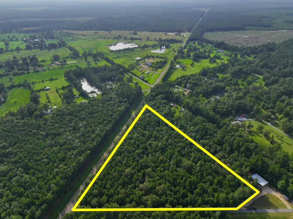 8 Fm 787 Saratoga, TX 77585