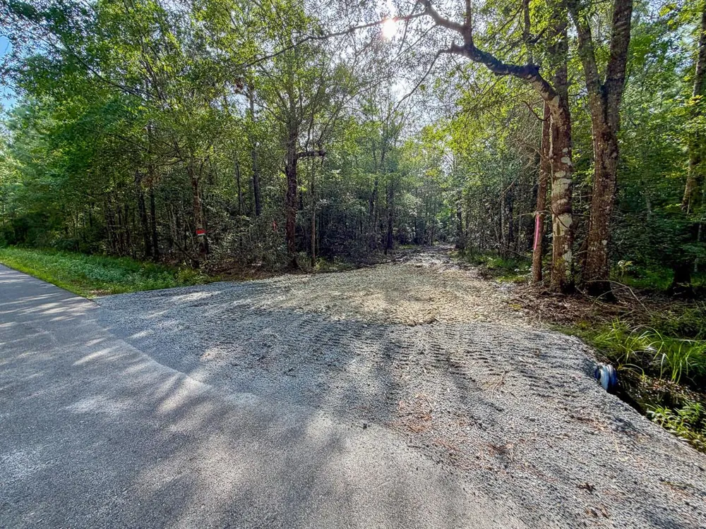 8 Fm 787 Saratoga, TX 77585