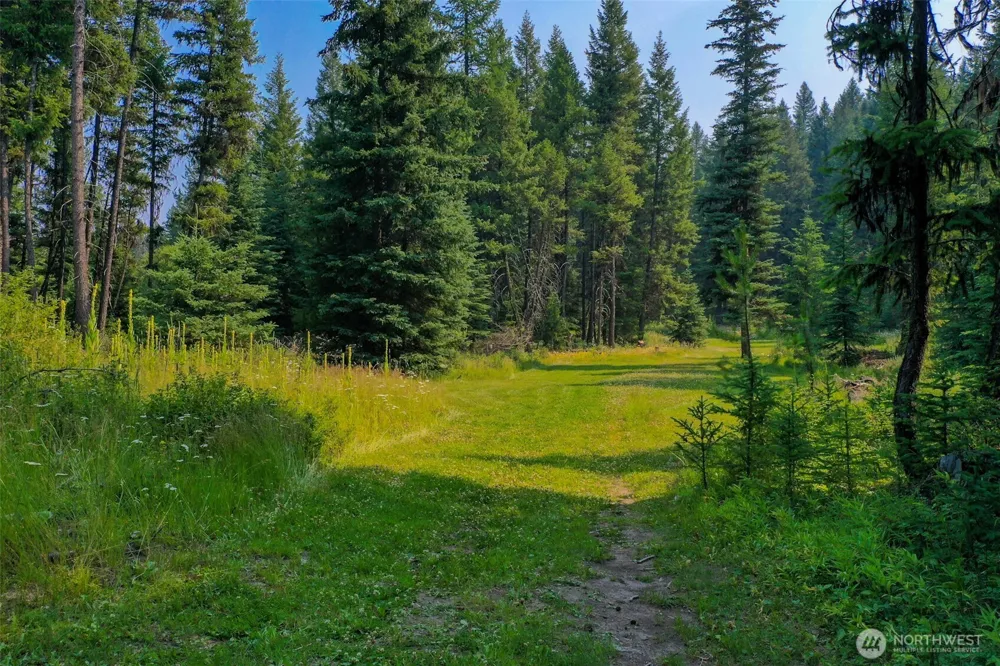 259 B S FS 33100 Mt Anne R Wauconda, WA 98859