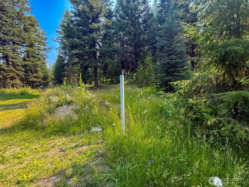259 B S FS 33100 Mt Anne R Wauconda, WA 98859