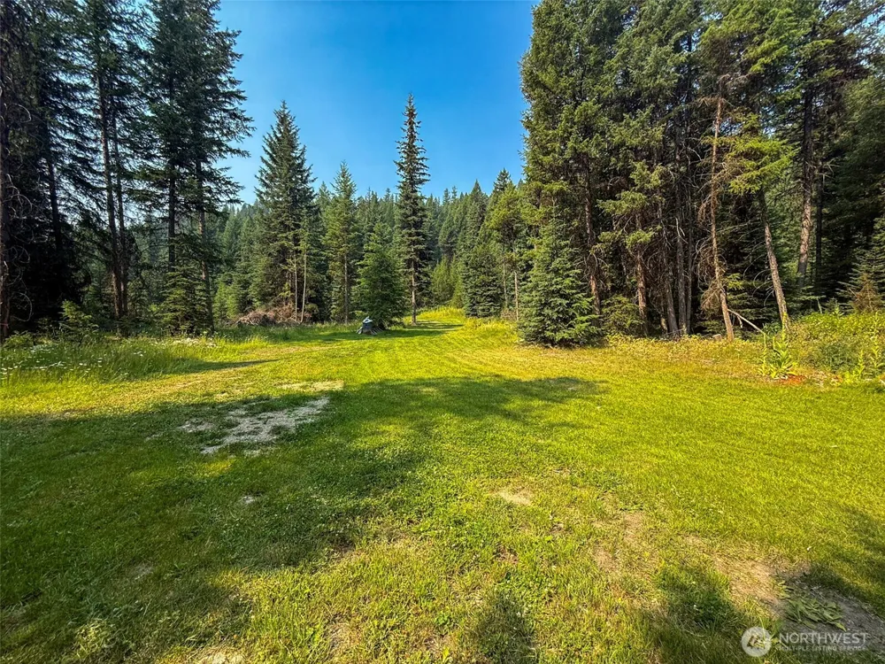 259 B S FS 33100 Mt Anne R Wauconda, WA 98859