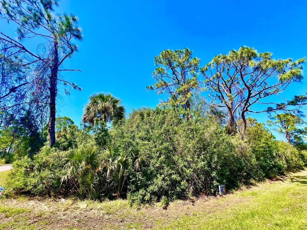 12142 Joyner Avenue Port Charlotte, FL 33953