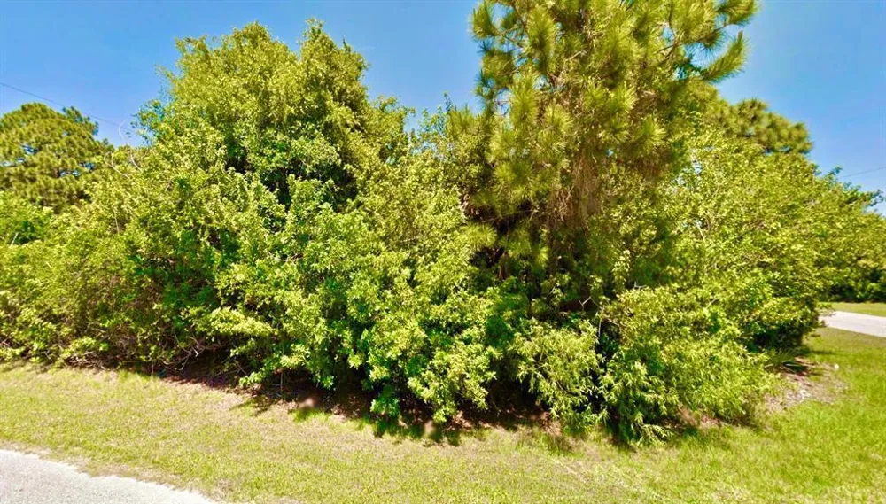 12142 Joyner Avenue Port Charlotte, FL 33953