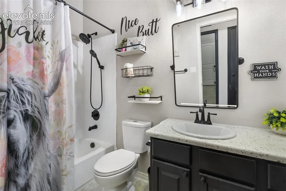 10388 Mt. Wilson Place Peyton, CO 80831