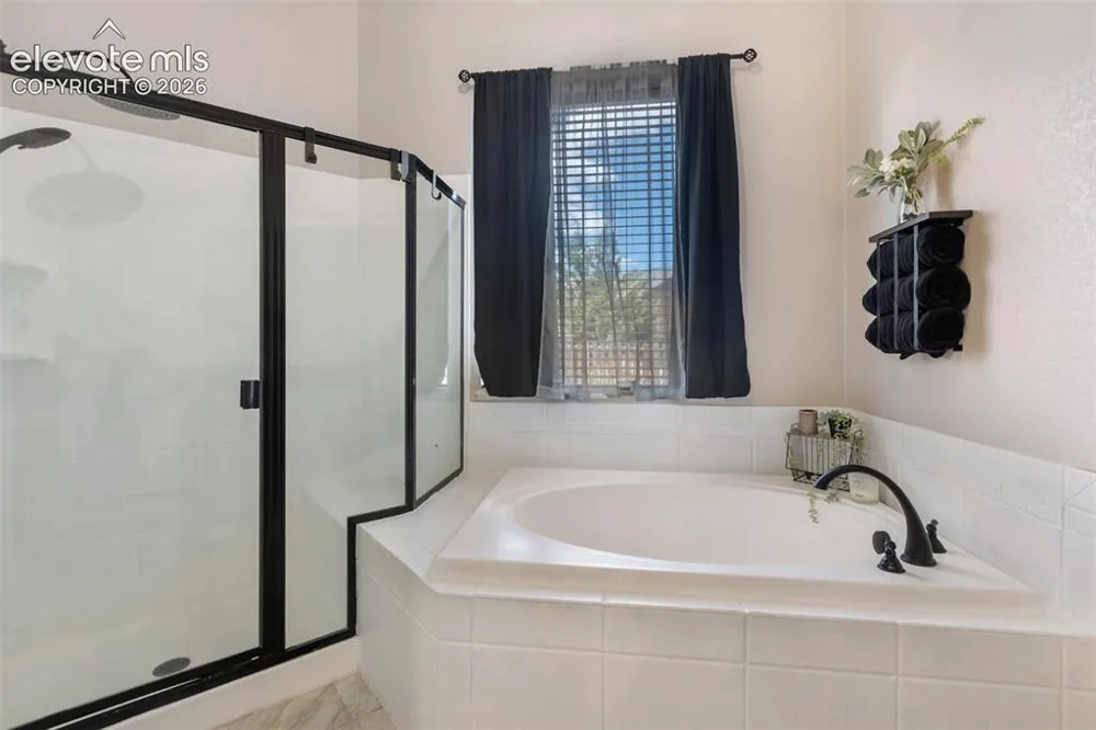10388 Mt. Wilson Place Peyton, CO 80831