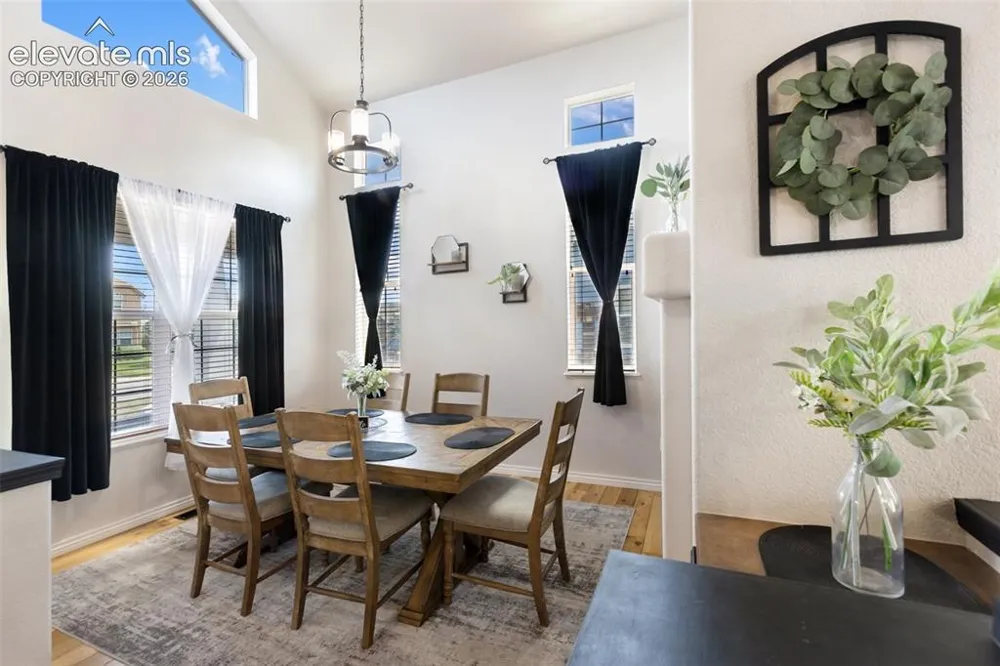 10388 Mt. Wilson Place Peyton, CO 80831